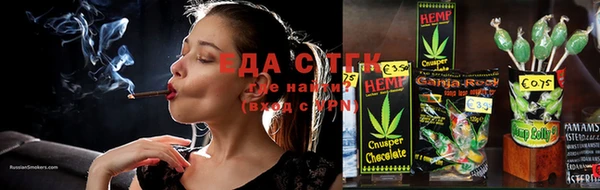 индика Киреевск