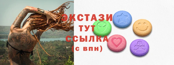 индика Киреевск