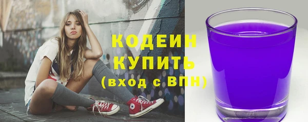 индика Киреевск