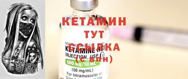 индика Киреевск
