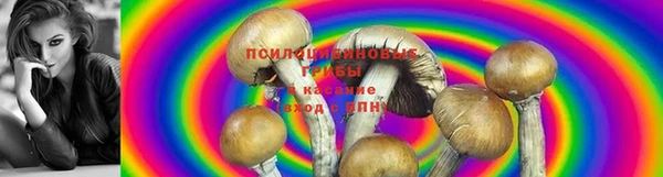 индика Киреевск