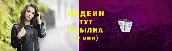 индика Киреевск