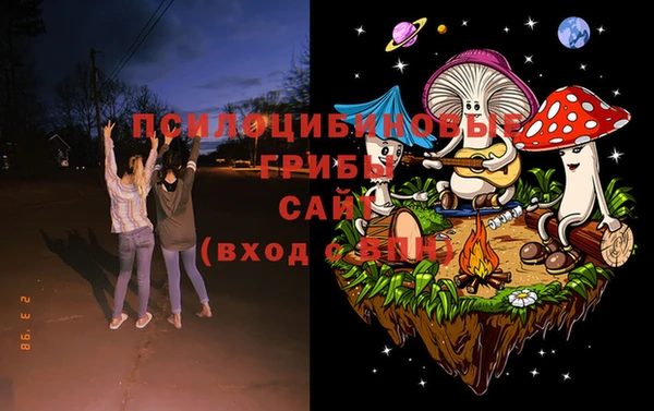 индика Киреевск