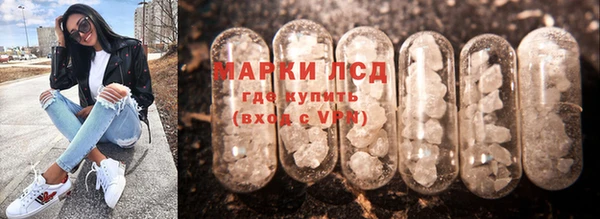 индика Киреевск