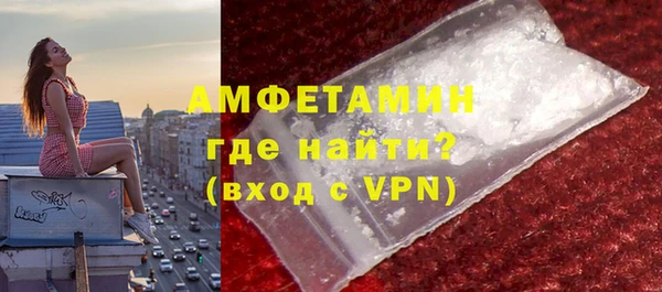индика Киреевск