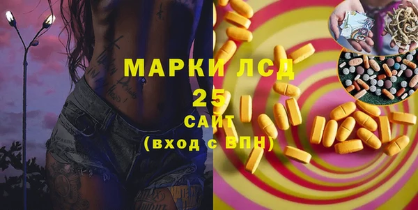 индика Киреевск
