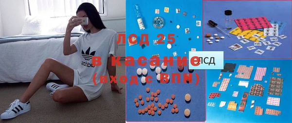 индика Киреевск