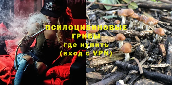 индика Киреевск