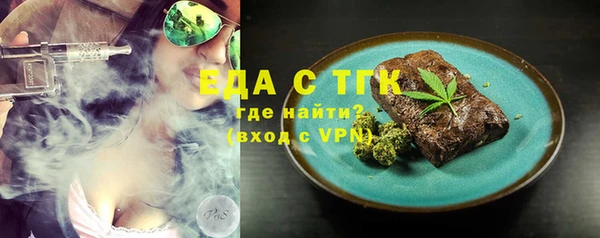индика Киреевск