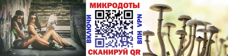 Купить где Жердевка Псилоцибиновые грибы мухоморы
